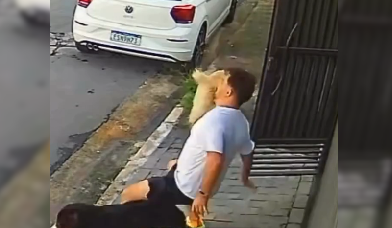 Cão provoca queda do tutor ao sair de casa em momento registrado por câmera