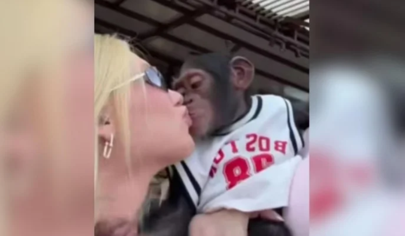 Virginia Fonseca se pronuncia sobre beijo em macaco e acusações de racismo