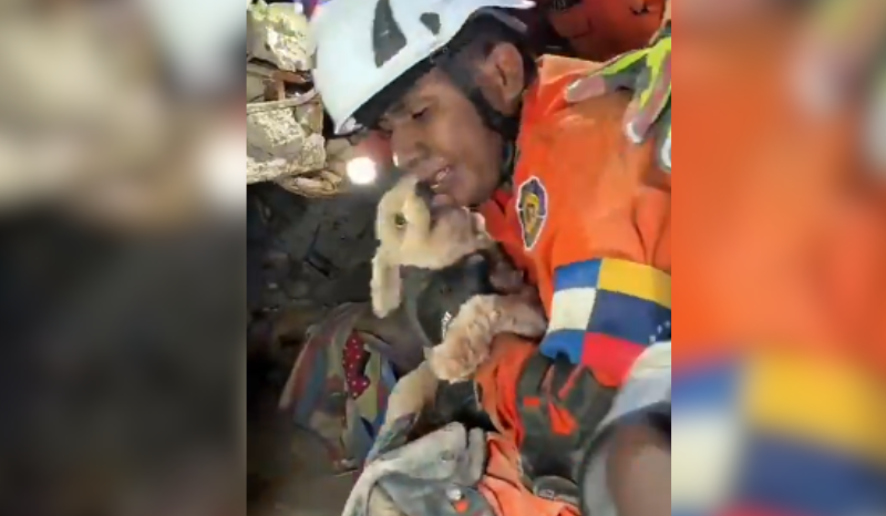 Equipes de El Salvador resgatam cães com vida após terremotos na Venezuela