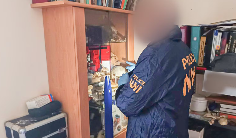 Homem é preso na Hungria por canibalismo e violação de sepulturas