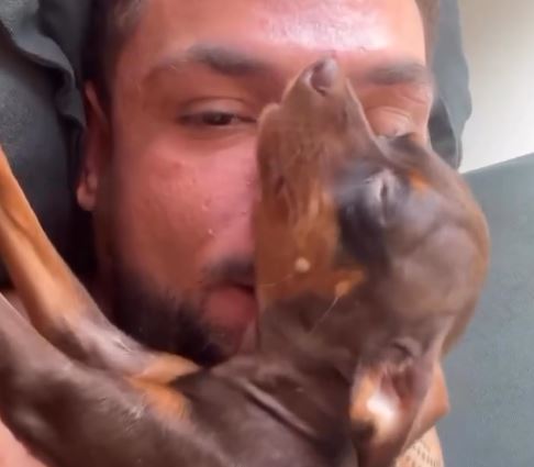 Vídeo de cachorrinho respondendo tutor viraliza nas redes sociais