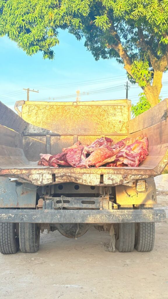 Apreensão de três toneladas de carne em Nhamundá levanta preocupações sanitárias