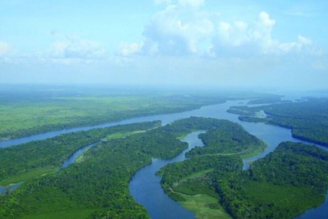 Governo lança edital para manejo sustentável na Floresta Nacional do Amazonas