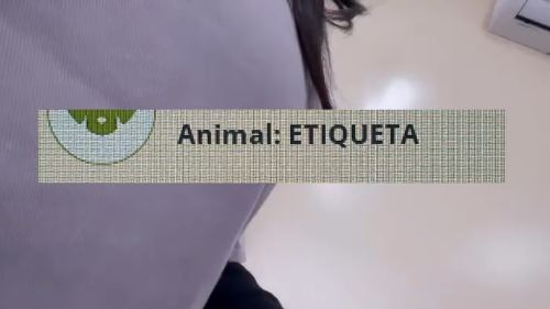 Nomes de cães chamam atenção em chamada de veterinária em Manaus