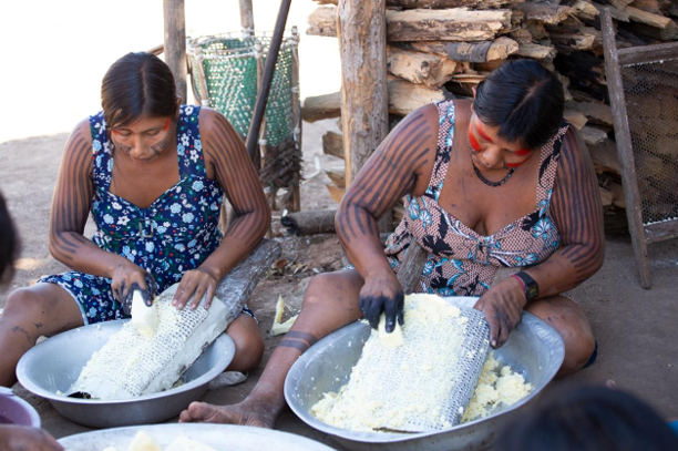 Mulheres lideram produção de fitoterápicos e biocosméticos na Amazônia
