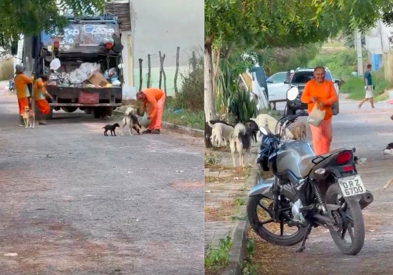 Coletor de lixo emociona ao alimentar cães de rua em Tianguá, Ceará