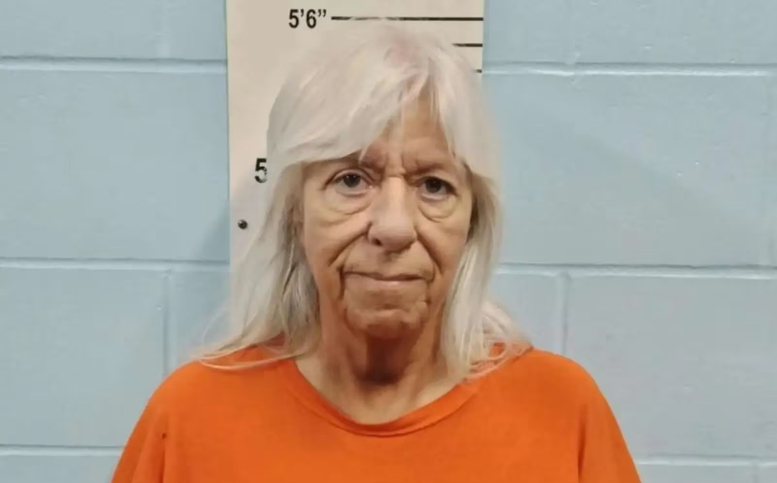 Mãe adotiva de 70 anos troca criança por macaco nos EUA e é denunciada