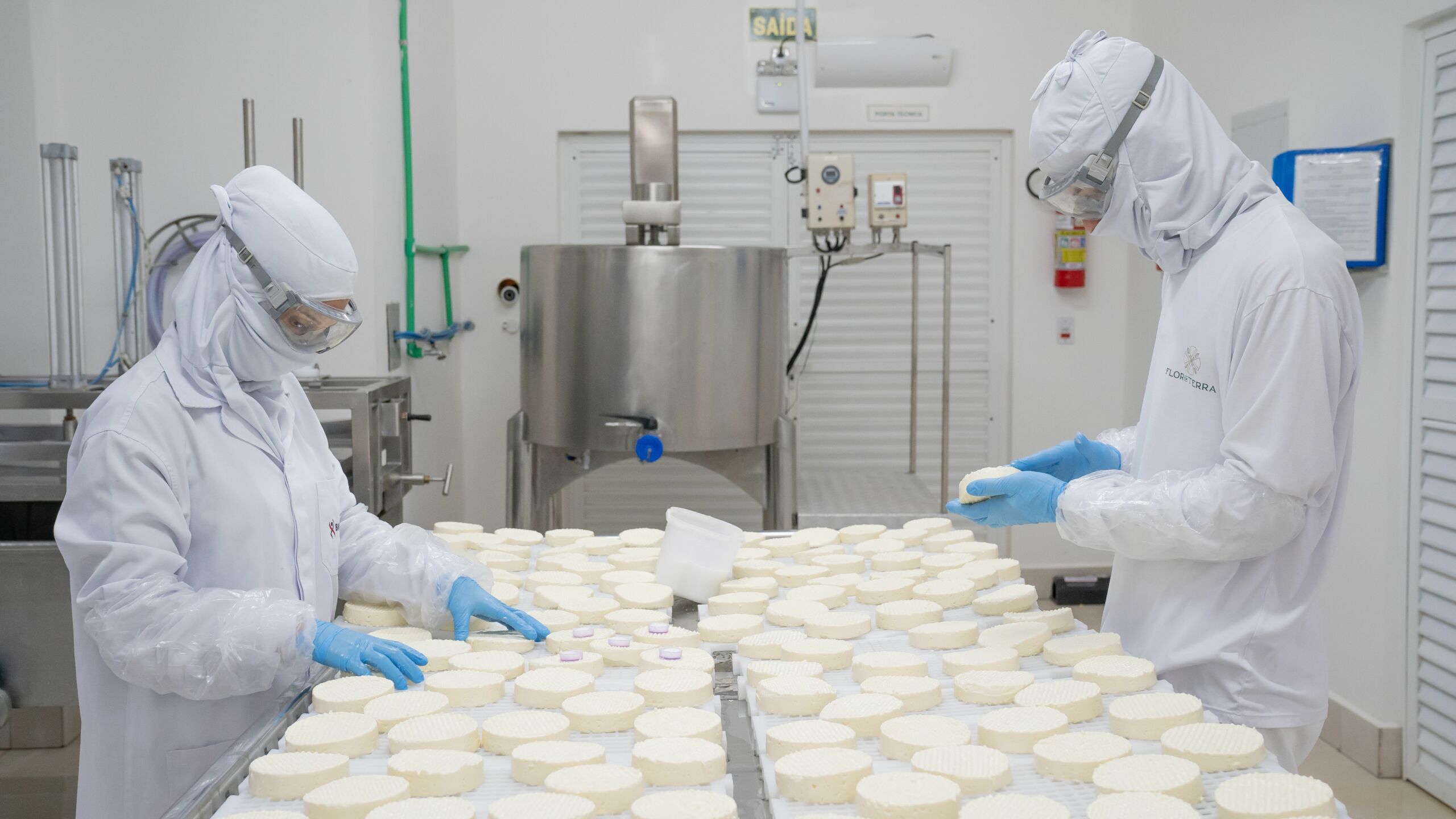Queijo: curiosidades sobre o alimento que atravessa gerações