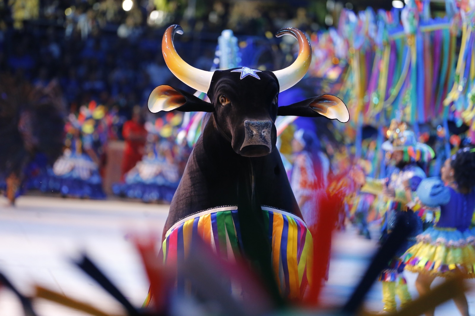 Boi Caprichoso celebra 113 anos com festa especial em Parintins