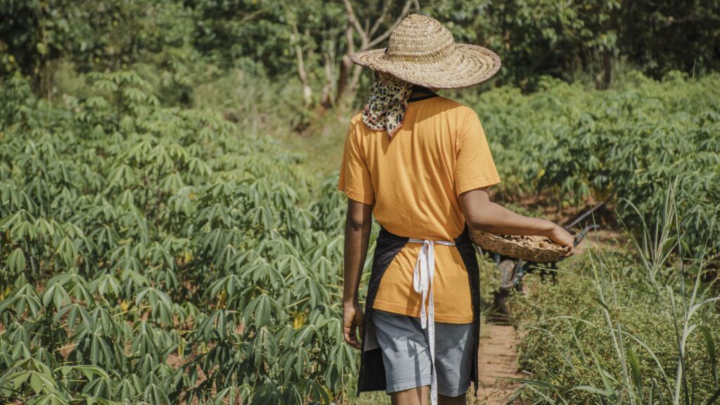 Comissão aprova lei que facilita a comprovação de trabalho rural feminino