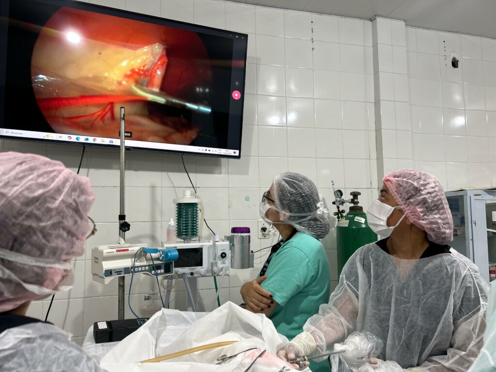 Videocirurgia Veterinária: Menos Dor e Recuperação Rápida para Pets
