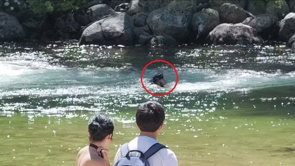 Tragédia em Yosemite: jovem registra momento de turista antes da queda fatal