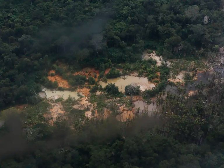 Quatro acusados por garimpo ilegal no Parque Mapinguari são denunciados