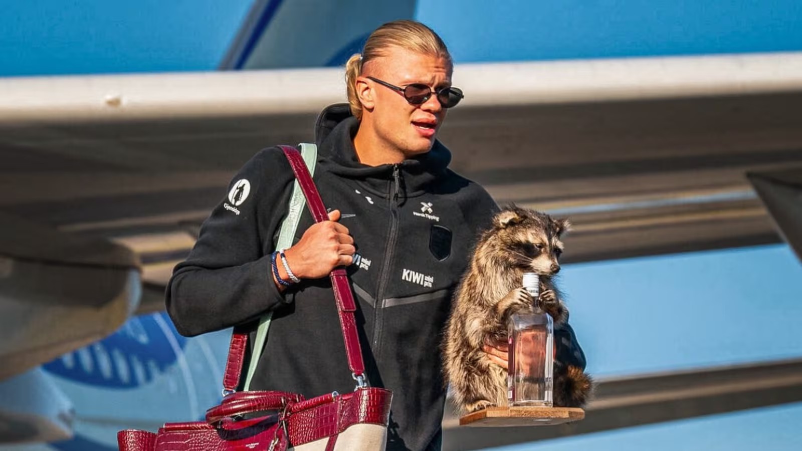 Haaland viraliza ao voltar da Copa com guaxinim empalhado de R$ 4 mil