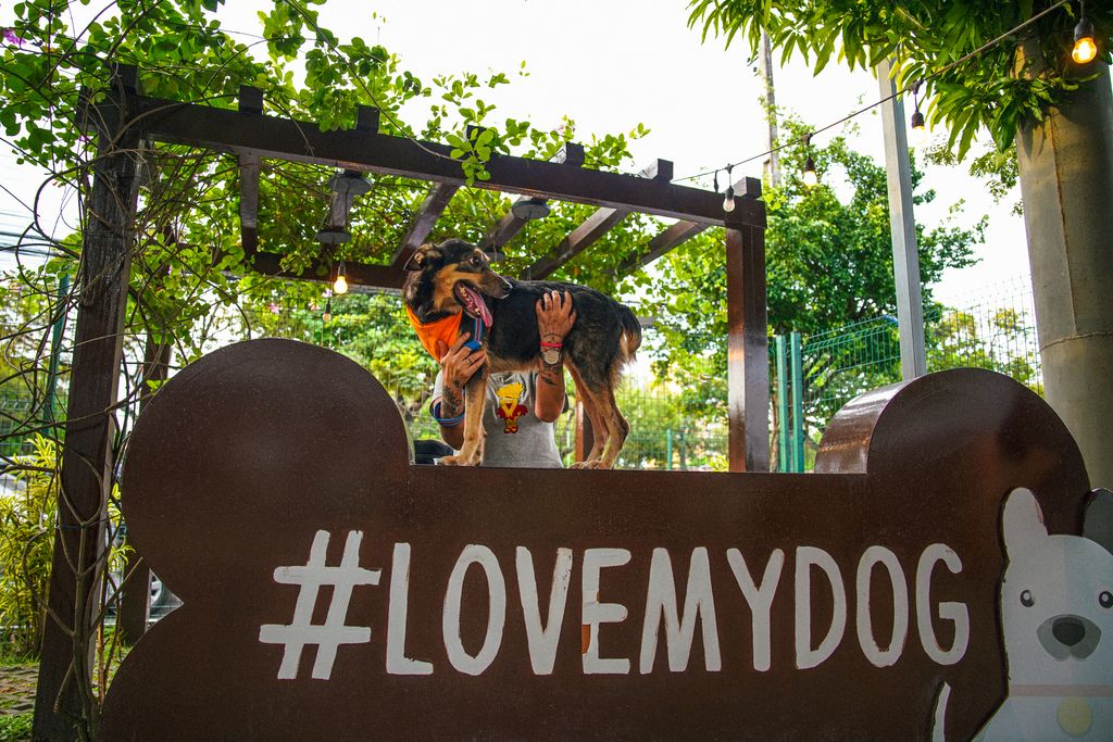 Shopping de Manaus realiza evento de adoção de pets com cuidados garantidos