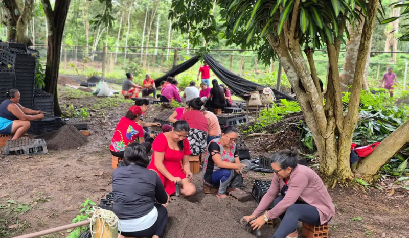 Mulheres Amazônidas se Unem para Combater as Mudanças Climáticas