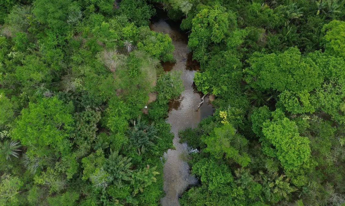 Área Queimada no Brasil em 2025 é 31% Menor que a Média Histórica