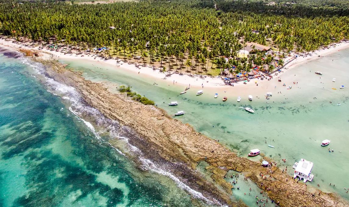 Ruído de barcos e turistas prejudica comunicação entre peixes, revela estudo