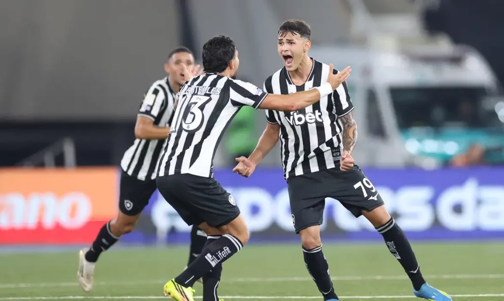 Botafogo vence no último minuto e Vasco afunda na zona de rebaixamento
