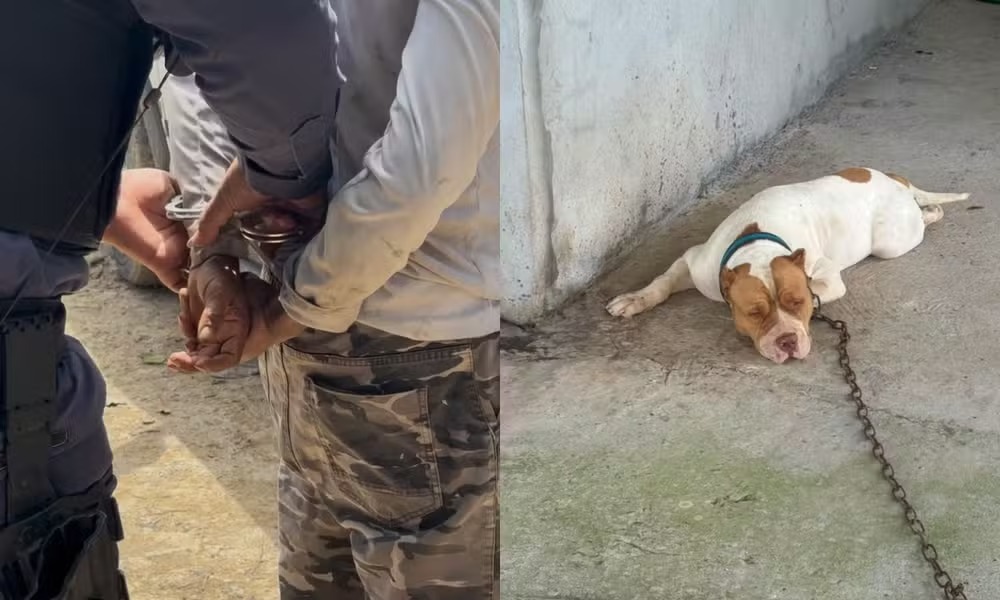 Homem é preso em flagrante por suspeita de maus-tratos a cachorro no Amazonas