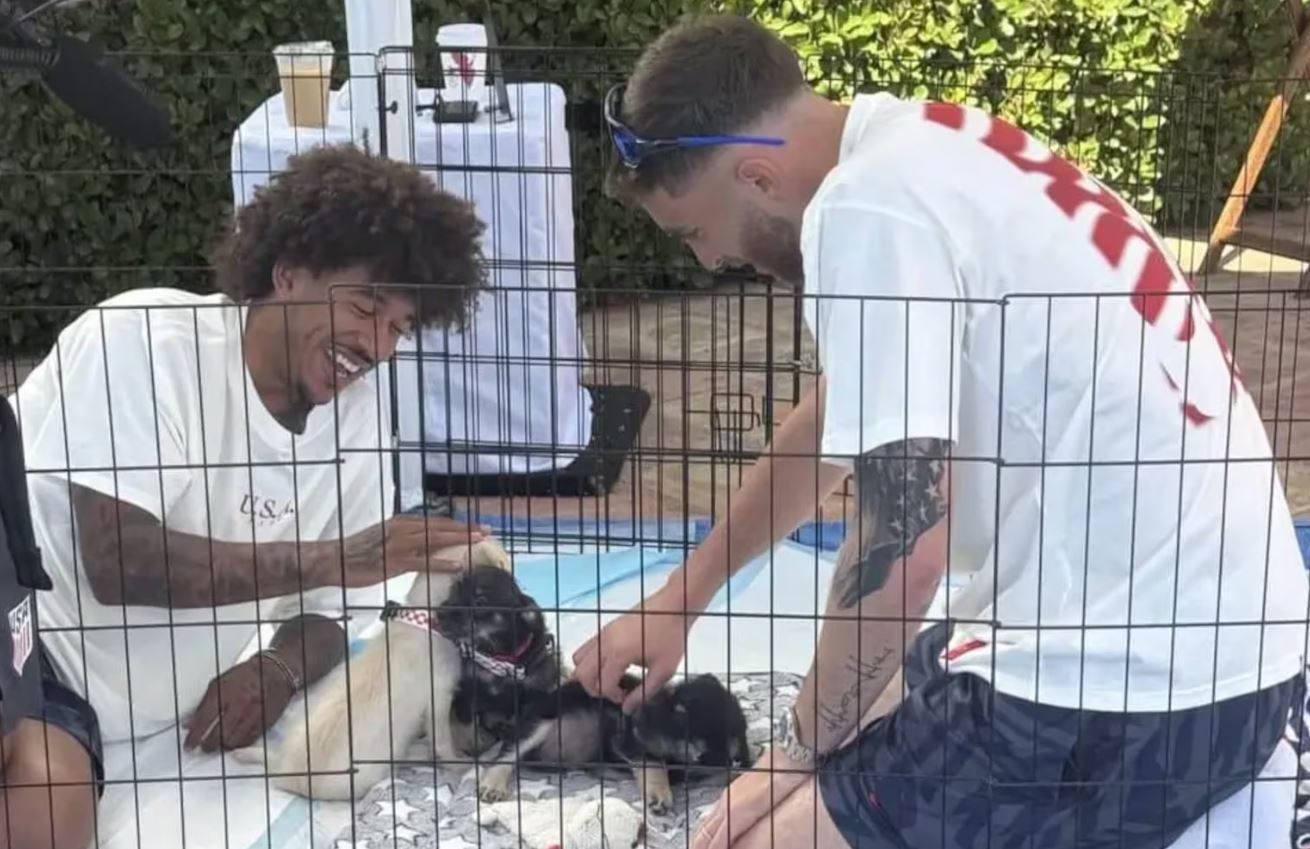 Cães ajudam na recuperação da seleção dos EUA durante a Copa do Mundo