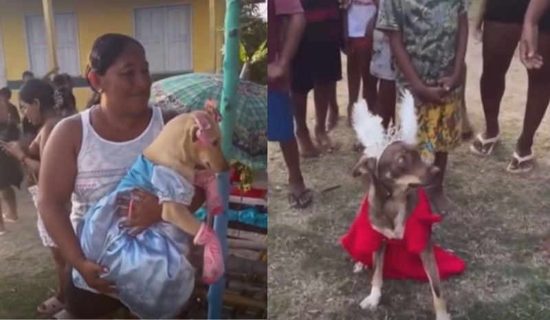 Concurso do cachorro mais estiloso diverte em festa no Amazonas