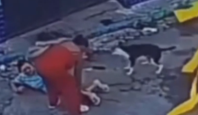 Costureira é derrubada por cachorro durante gravação de vídeo em Recife