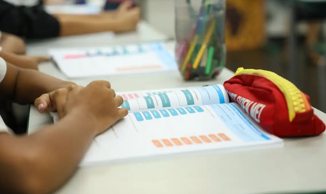 Leis tornam educação política e cidadania obrigatórias na educação básica