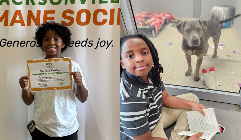 Menino de 11 anos completa 100 horas lendo para cães e é homenageado