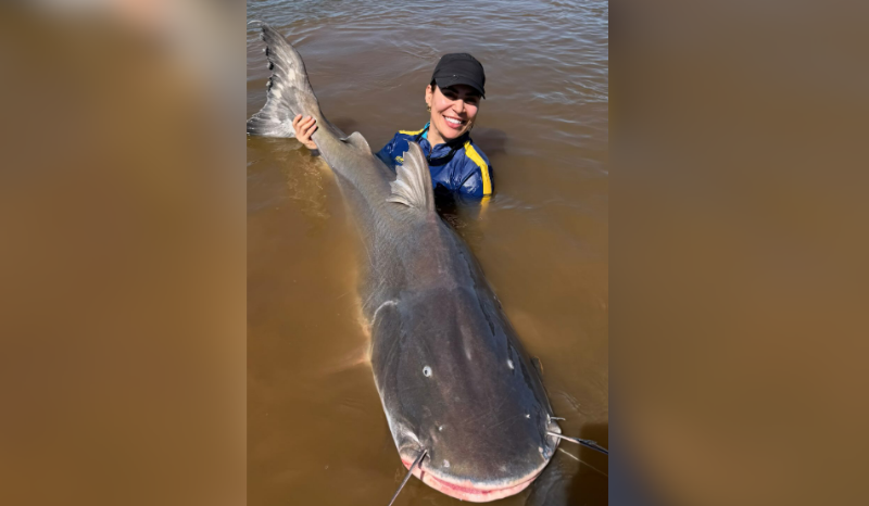 Naiara Azevedo registra captura de piraíba de 2,4 metros no Rio Araguaia