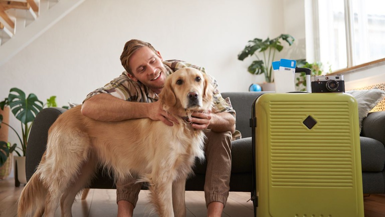 Prazo para participação na pesquisa sobre turismo pet friendly é prorrogado até 10 de julho