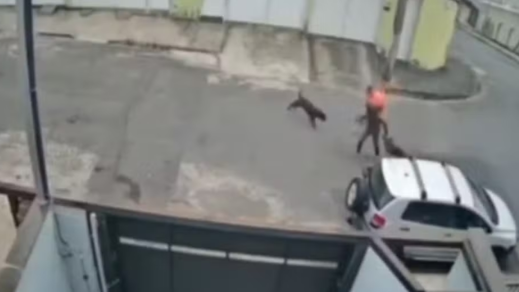 Trabalhador auxilia mulher e cachorro durante ataque de pitbull em Juiz de Fora
