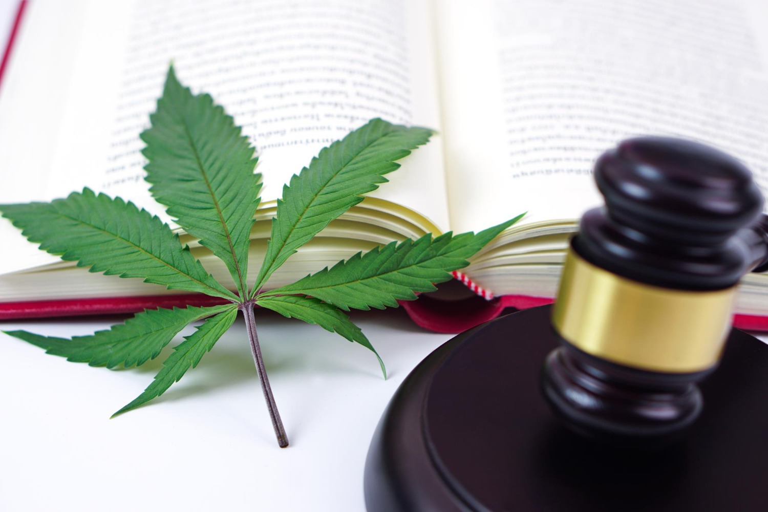 Trabalhador será indenizado após demissão por portar maconha