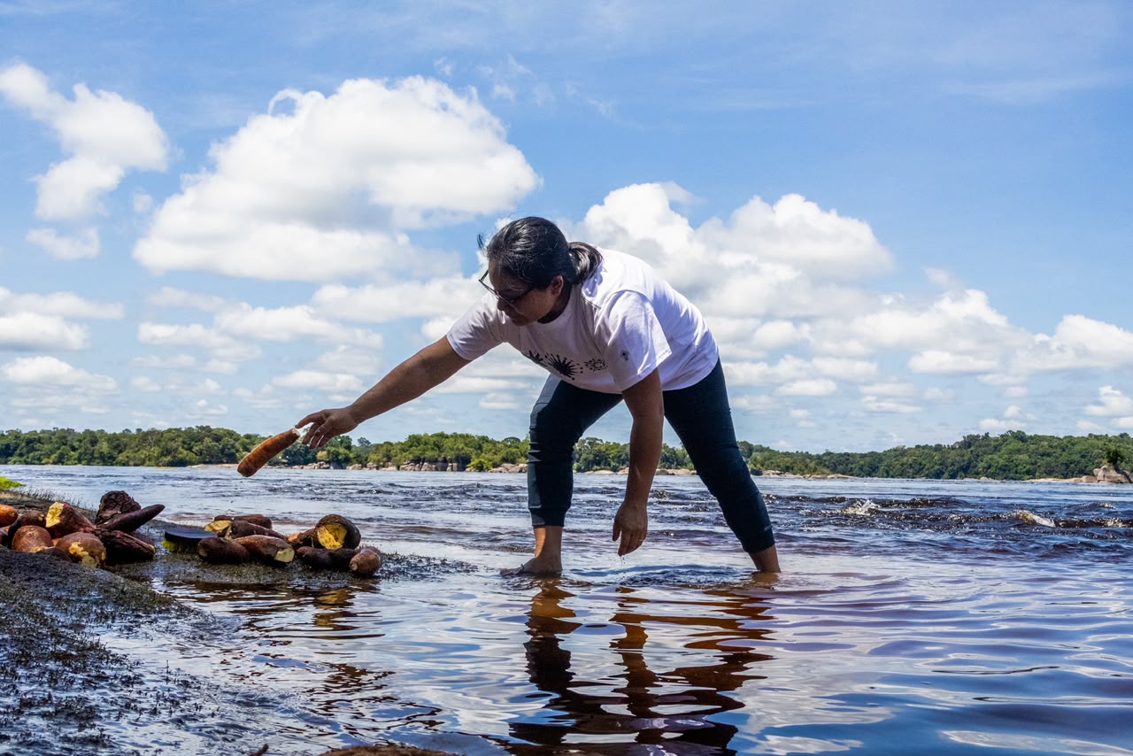 Empreendedores indígenas inovam com tecnologias de bioeconomia na Amazônia