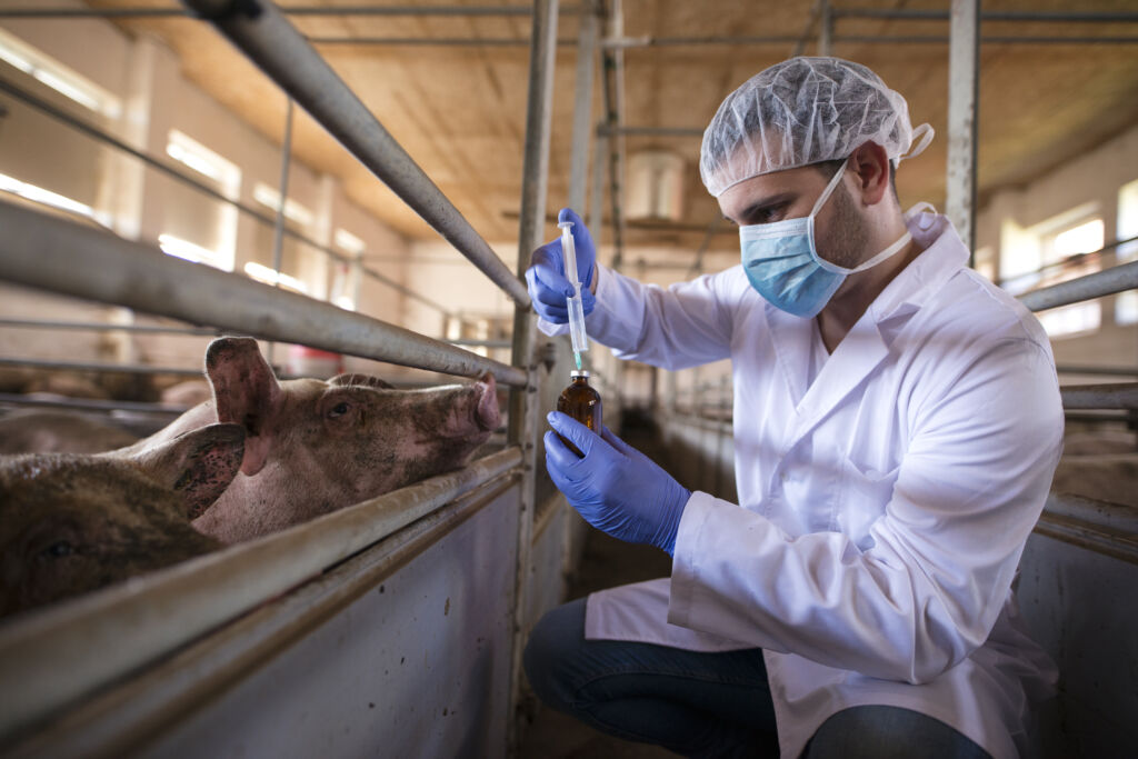 Presidente da República veta projeto de piso salarial para zootecnistas