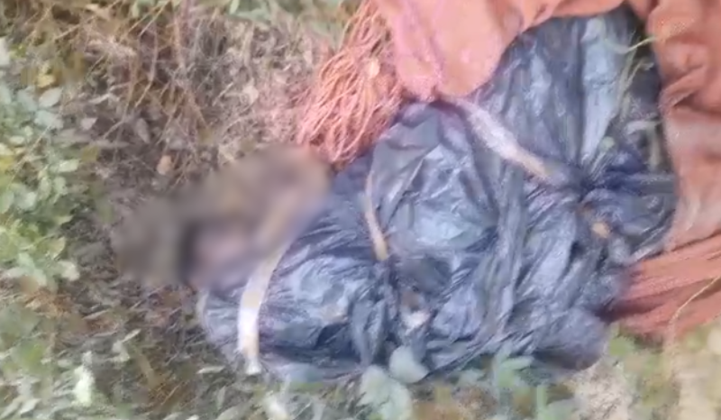 Homem é encontrado morto em saco plástico em ramal na zona leste de Manaus