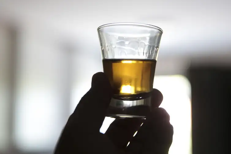 Aumento significativo de estabelecimentos na produção de cachaça no Brasil