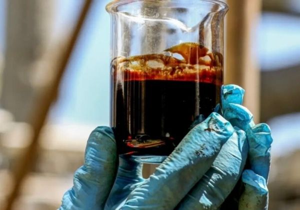 Câmara aprova penas mais rígidas para motoristas alcoolizados
