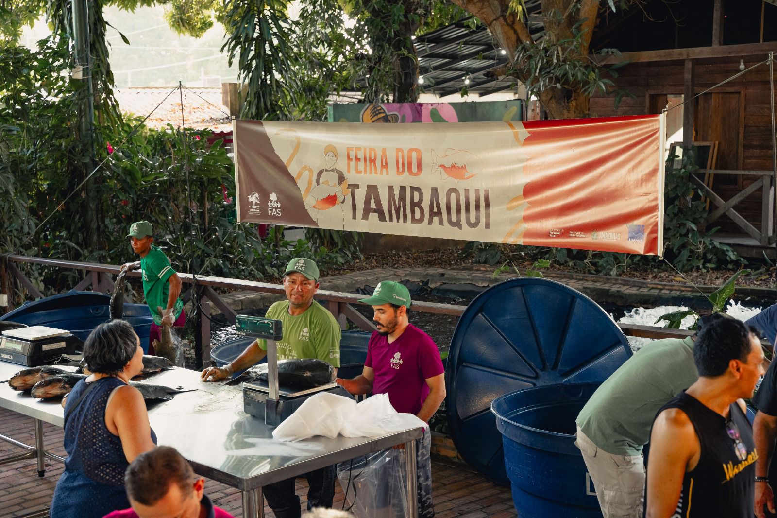 Feira do Tambaqui em Manaus é prorrogada e preços começam em R$ 11/kg