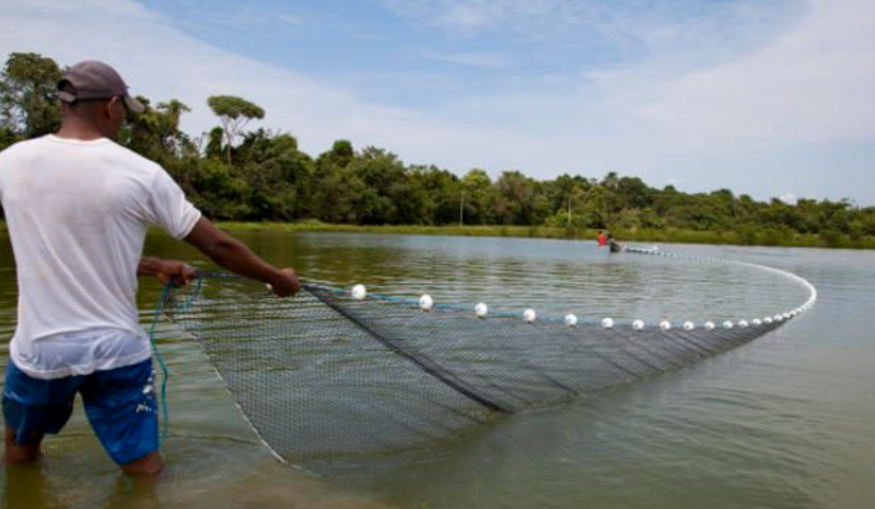 Prazo para atualização cadastral de aquicultores é estendido até 2026