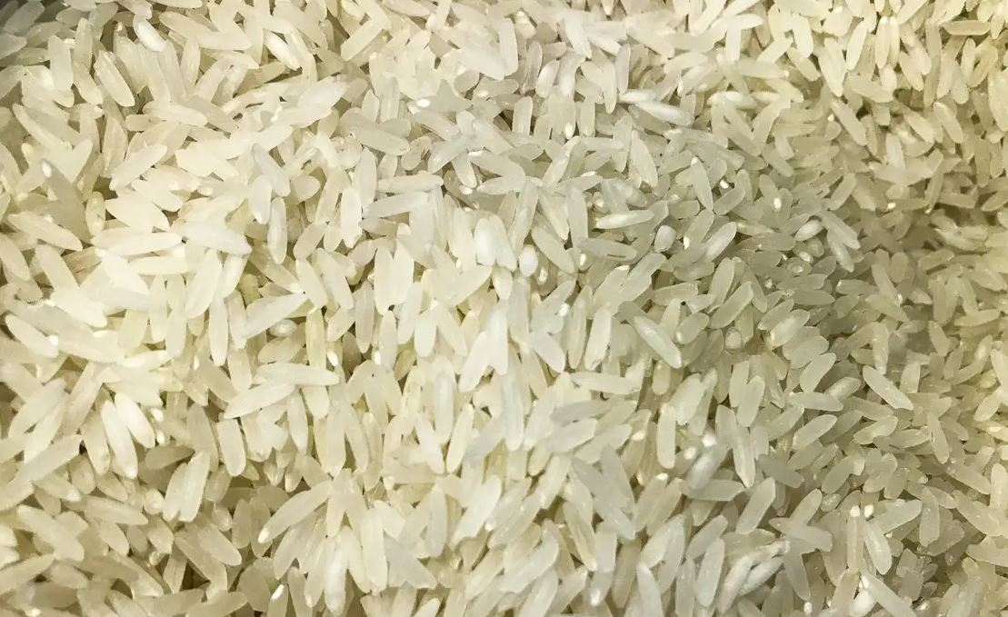 Brasil vai doar até 10 toneladas de arroz à Colômbia após terremoto