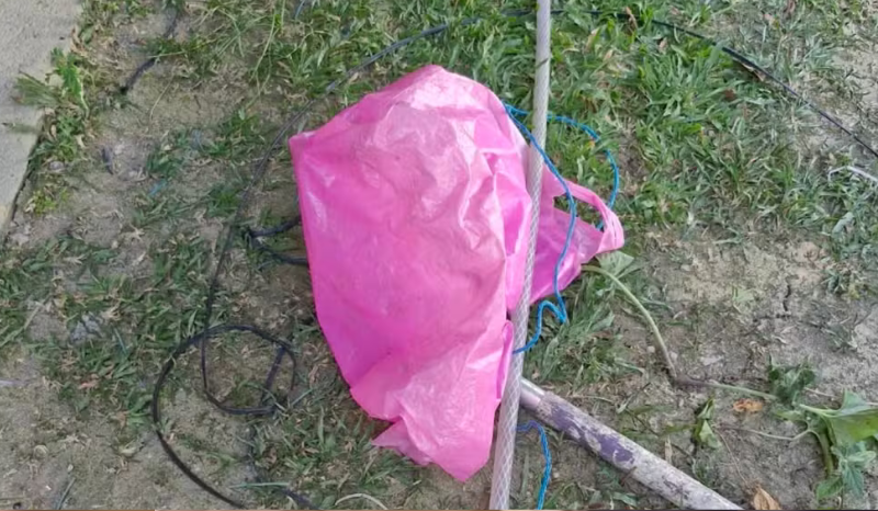 Incêndio no Viver Melhor 3: Bebê Resgatado e Cão Não Sobrevive