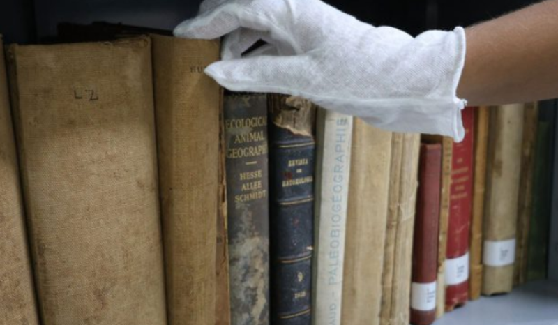 Biblioteca Henry Walter Bates preserva 28 mil obras sobre a Amazônia