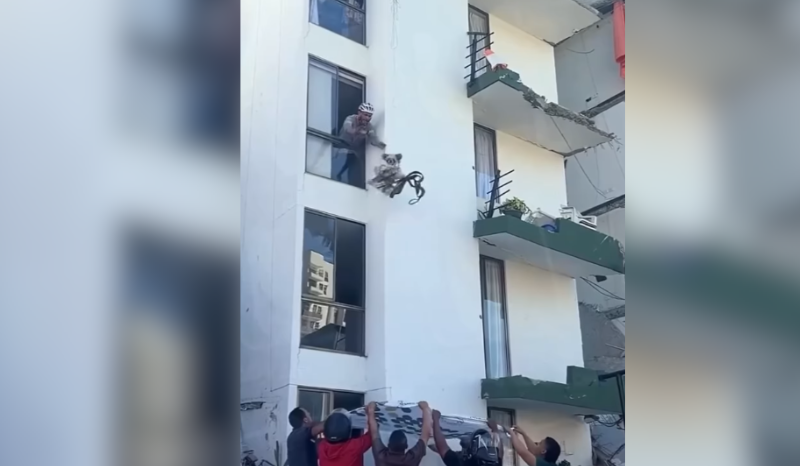 Cachorrinho é Resgatado com Emoção Após Terremoto na Colômbia