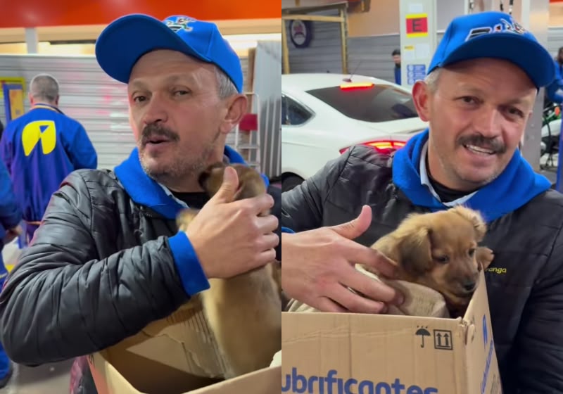 Filhote caramelo é acolhido por frentistas em Balneário Camboriú