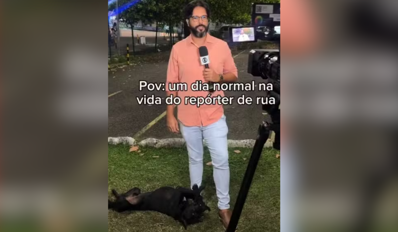 Cão desaparecido é reencontrado após vídeo viral com repórter em Salvador