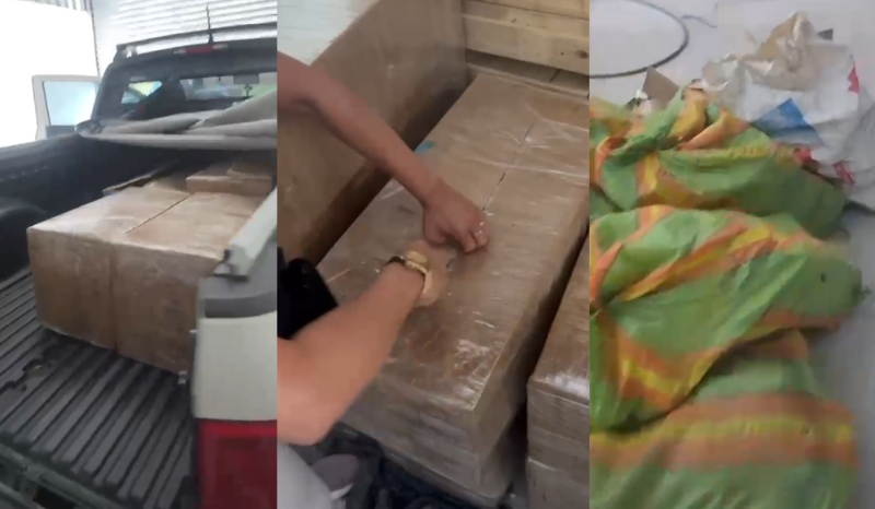 Denarc apreende 700 kg de maconha skunk em galpão na zona norte de Manaus