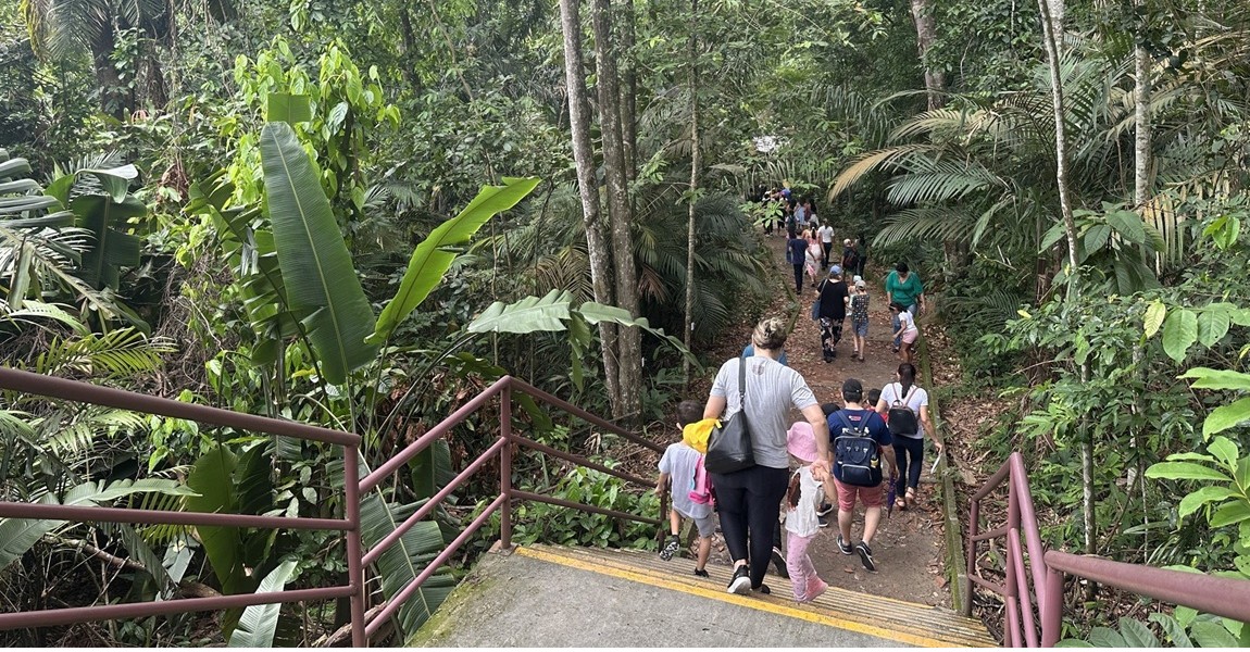 Oficinas gratuitas de EcoInfluenciadores começam no Bosque da Ciência