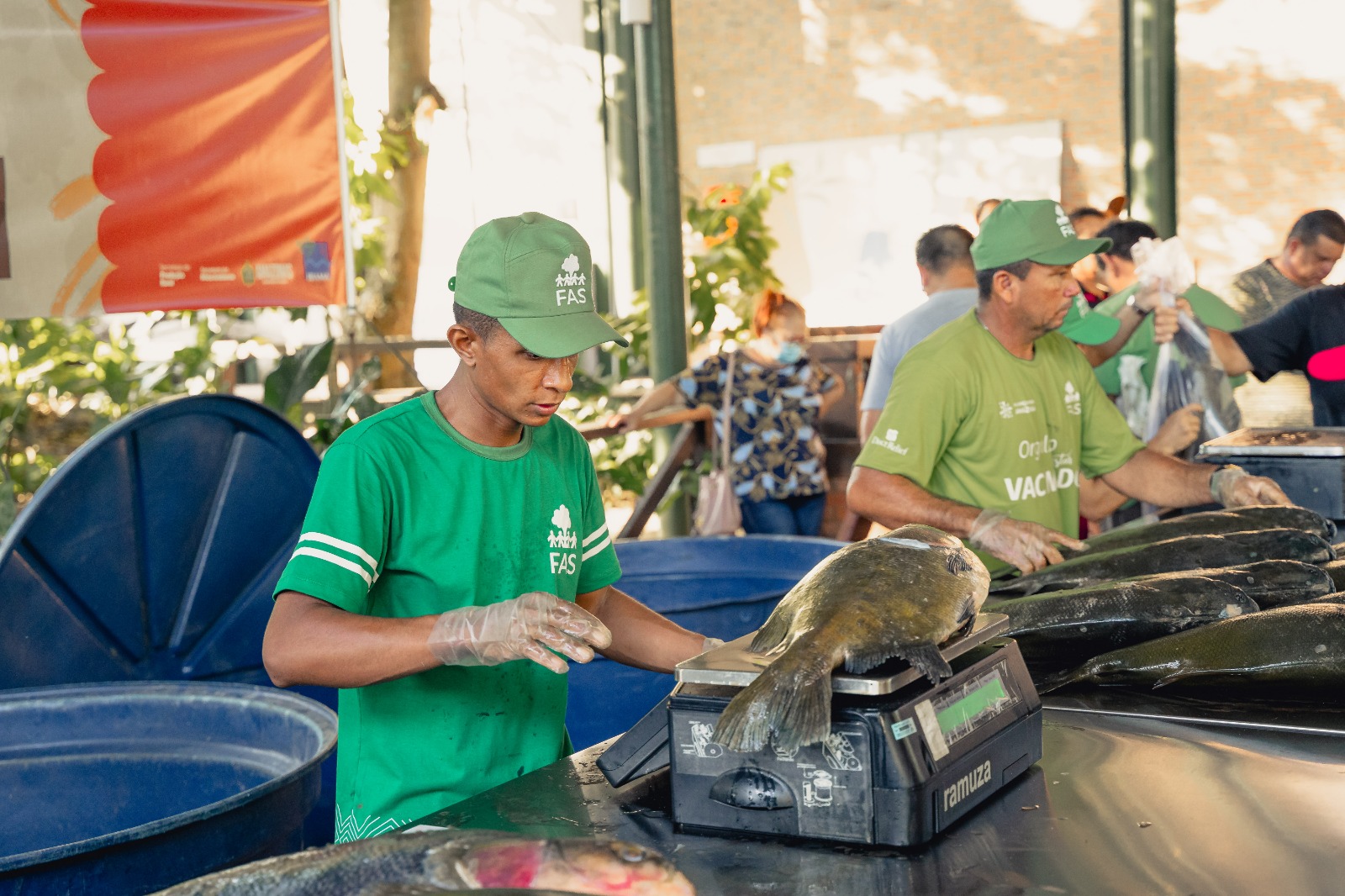 Feira do Tambaqui oferece peixe a R$ 11 o quilo em Manaus neste sábado