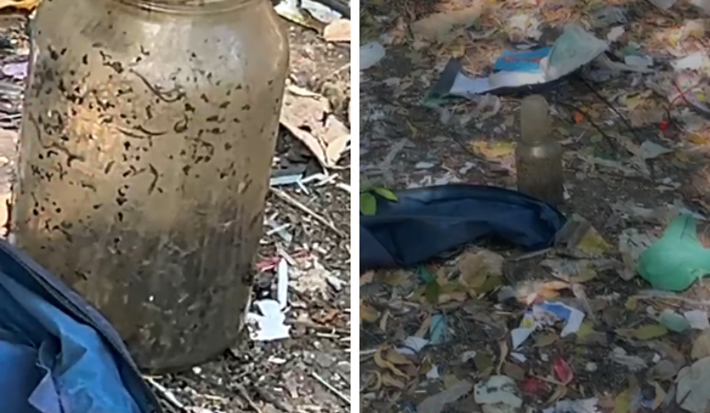 Encontrado material com aparência de feto em terreno no Aleixo